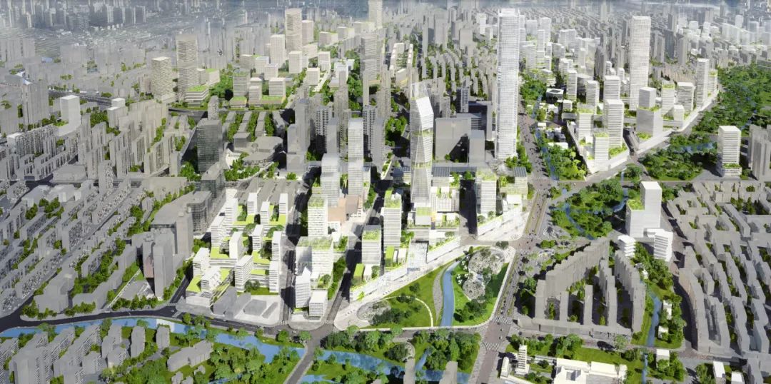 普陀区还有发展机会吗现在,普陀年收入