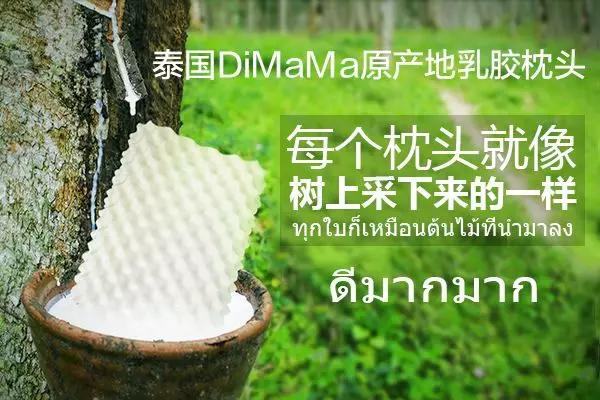 泰国乳胶枕热门视频,泰国正宗乳胶枕头什么牌子最好