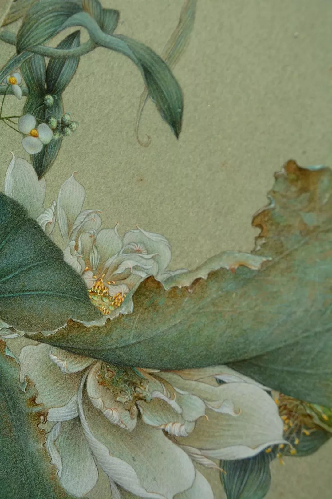 美到炸裂的古风美人,美到极致的古风美人