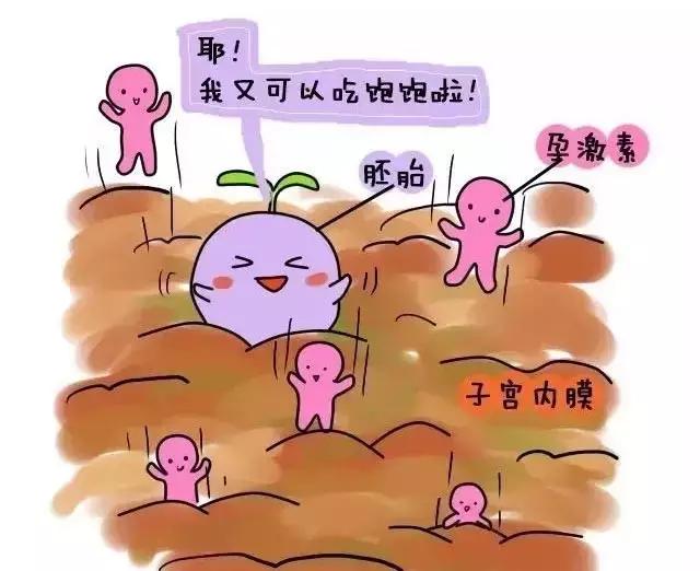 药流和人流的区别?一组漫画让你明白