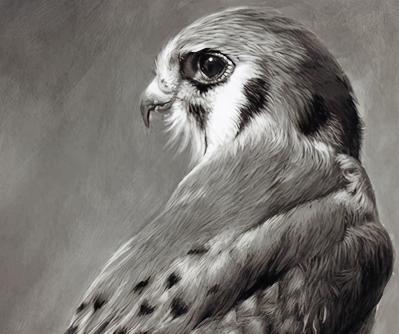 酒品酒香人生,酒品人间百味