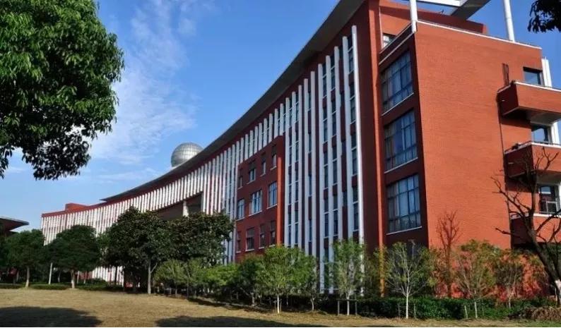 不被看好的崛起,不被看好加倍努力