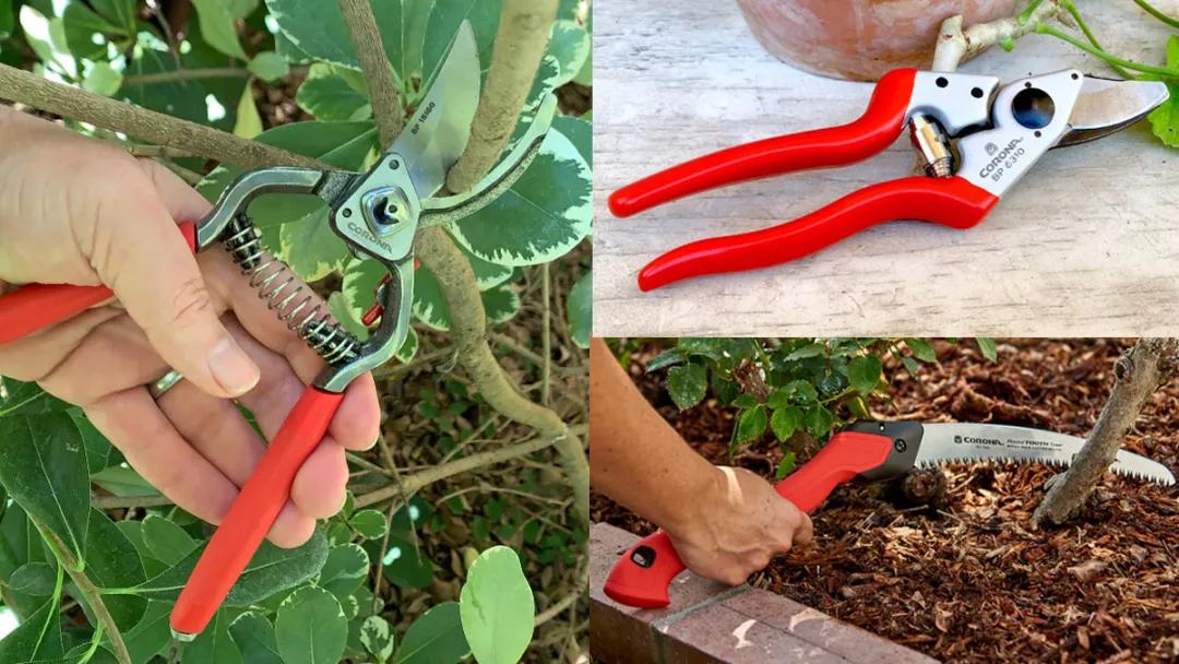 9款花园趁手好工具，用了之后，腰不疼腿不酸了