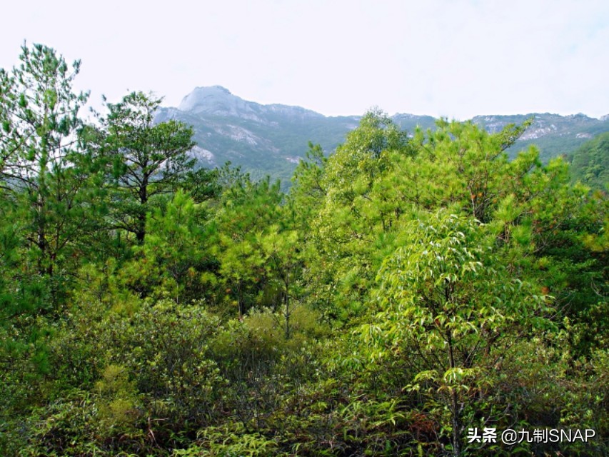云髻山，风花雪叶自在乾坤
