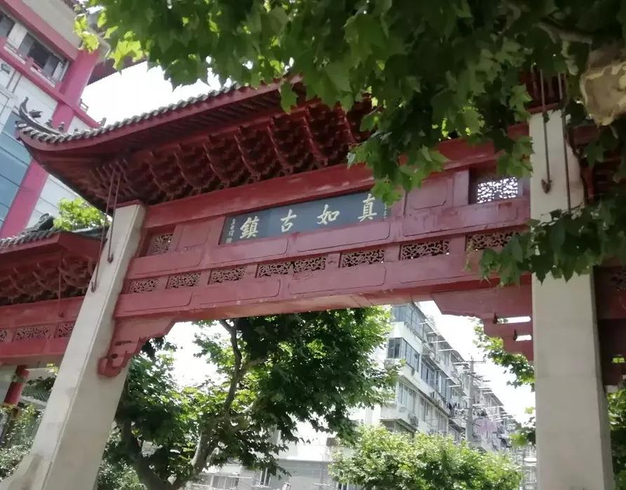 此劳模新村何以植物命名马路，以至美得像江南园林？