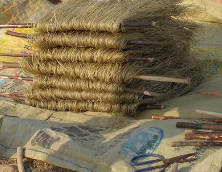 农村二十万创业可以做什么生意,农村白手创业适合做什么