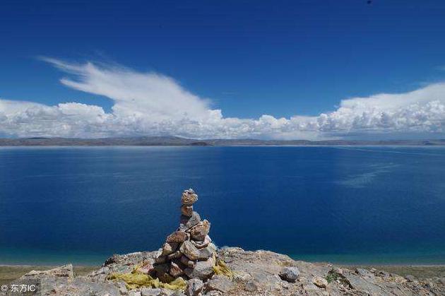 野性的呼唤里面的巴克是什么品种,野性的呼唤巴克2020完整版免费