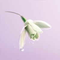 自然堂冰肌水凝润型,自然堂冰肌水广告