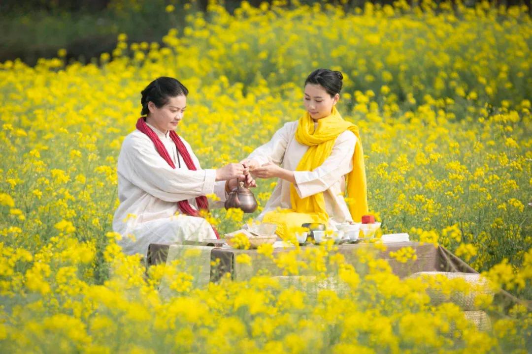 婺源油菜花节,2023婺源油菜花节