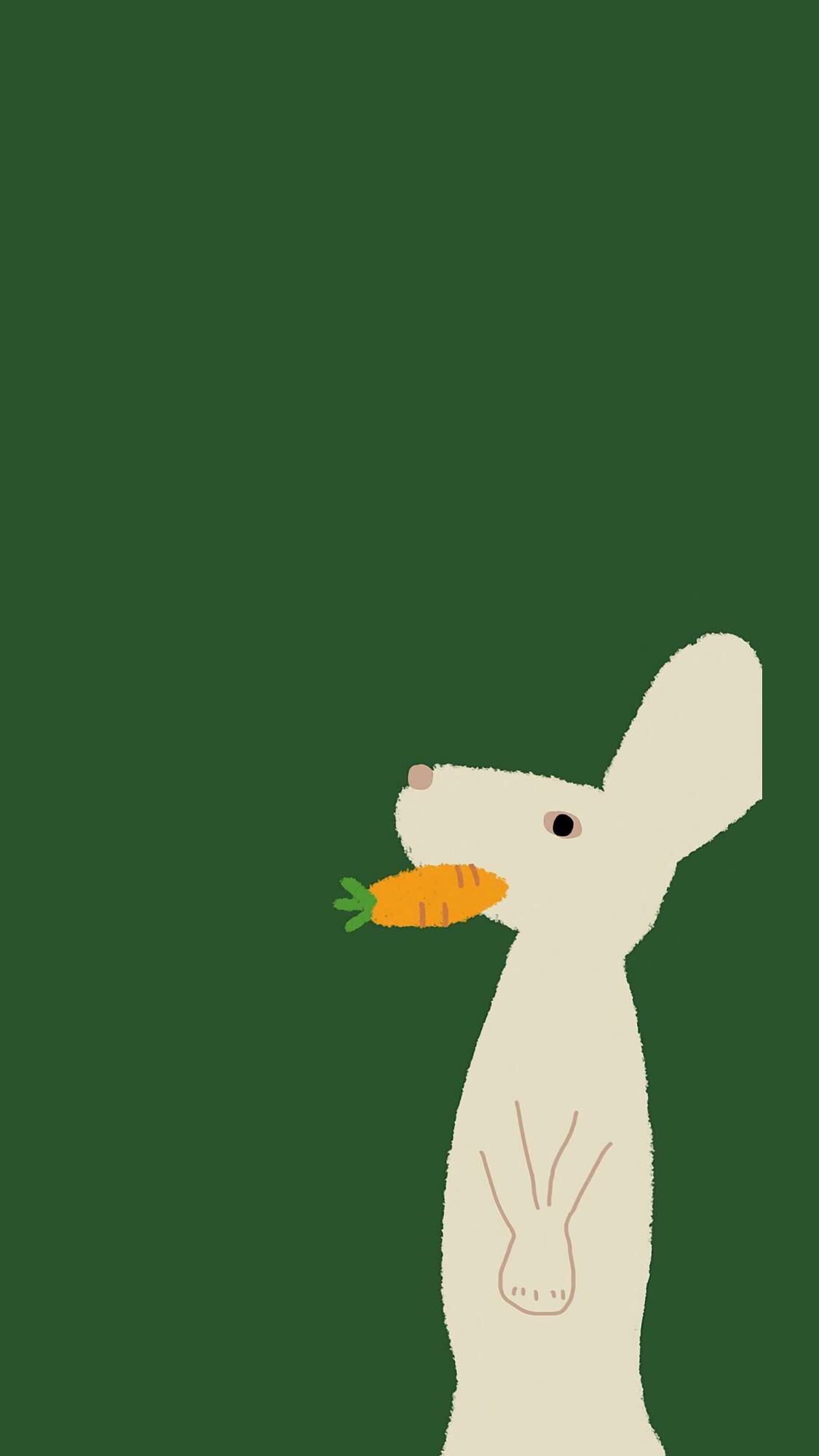 干净绿色系锁屏壁纸聊天背景,最近很火绿色的锁屏壁纸