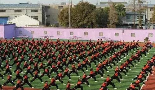 上海网球特色小学排名,上海各区体育特色学校