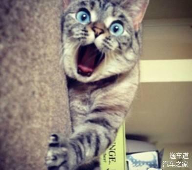 新款宝马m4保养提示,宝马m4报40de01故障