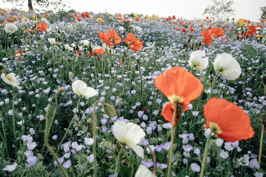 十大春夏好物,美妆博主春夏好物推荐