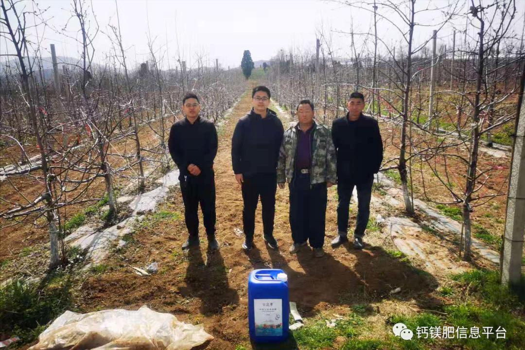 2021河南灵宝苹果硝基钙镁液体肥试验示范开启