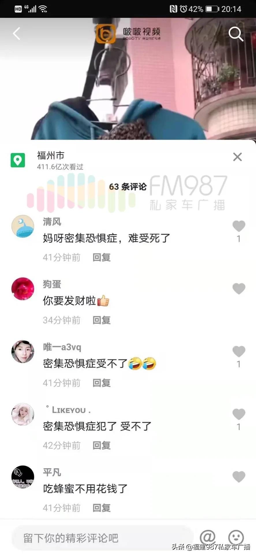 福州衣服爬满蜜蜂,福州市民晒一天衣服爬满蜜蜂