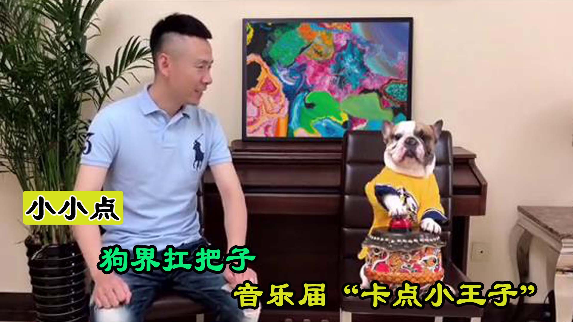 小伙养了一只罕见的小宠物,狗界网红卡点小王子