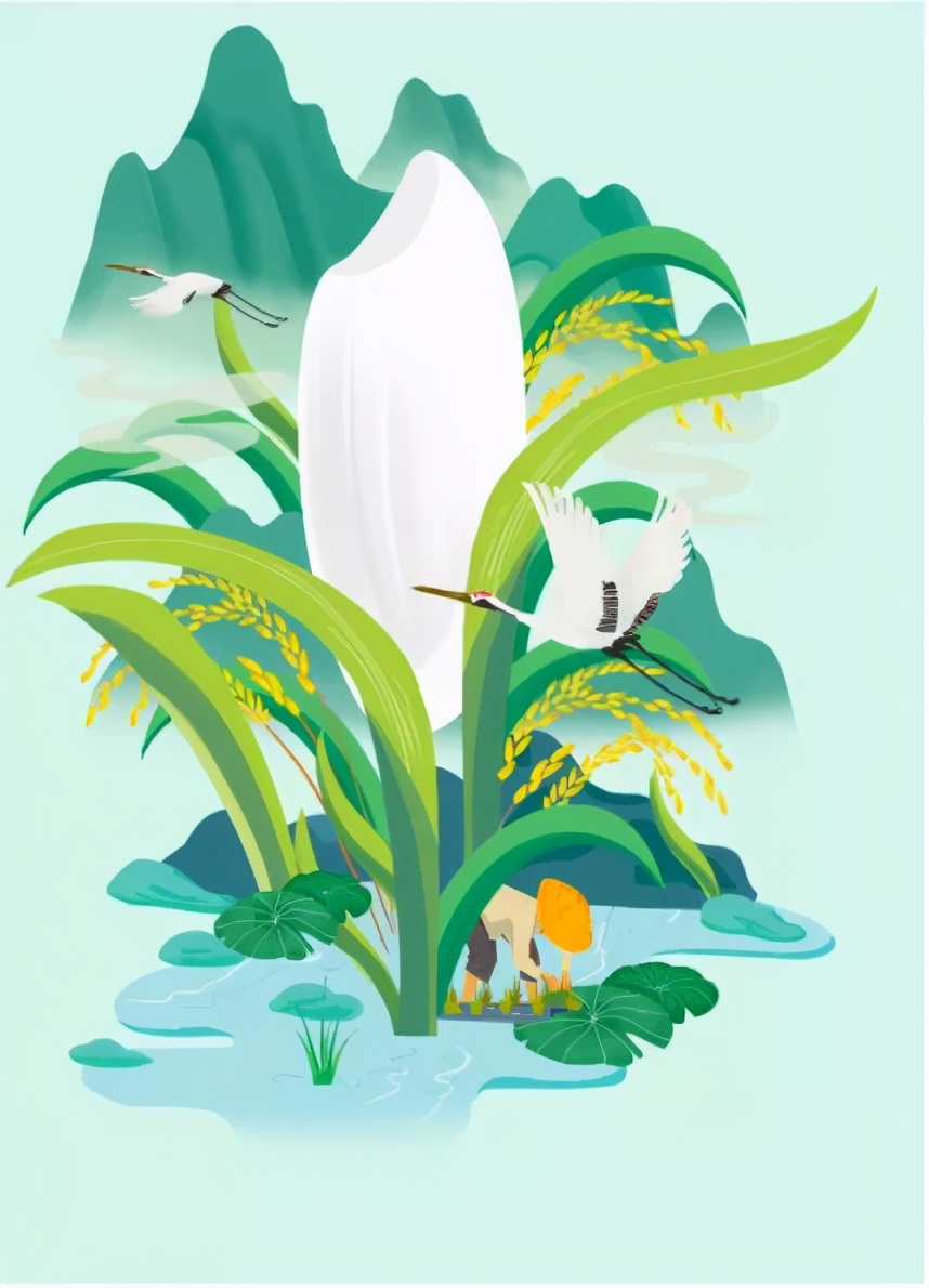 插画国潮包装设计,过桥米线国潮插画包装设计