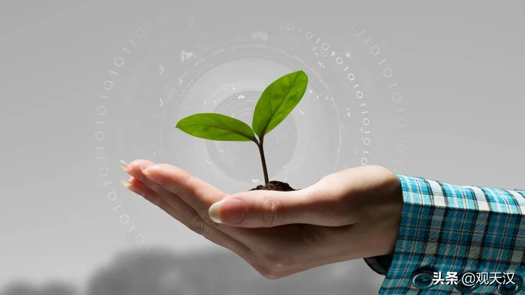 人肉搜索举报违法行为,人肉搜索的违法依据