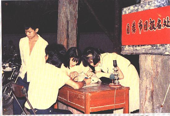 深圳群众文化集中展示,深圳群众艺术普及展演