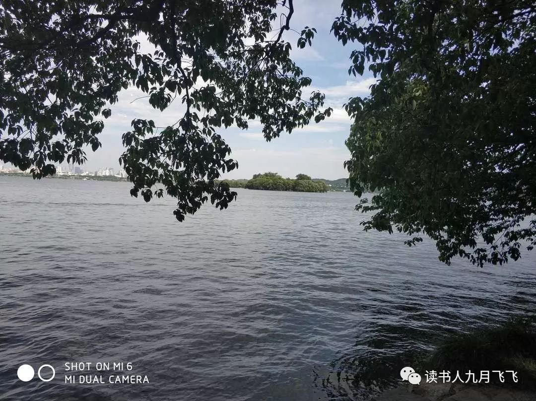 杭州嘉绿苑中学录取率,杭州嘉绿苑中学招生