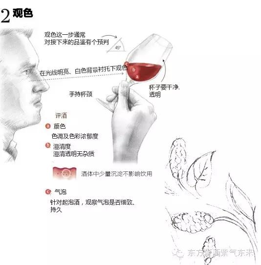 一杯紫酒,轻松周末,采摘品鉴邀您相约