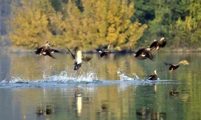 沸水何处觅芳踪？西游记里，白水湖边，灵秀呼之欲出