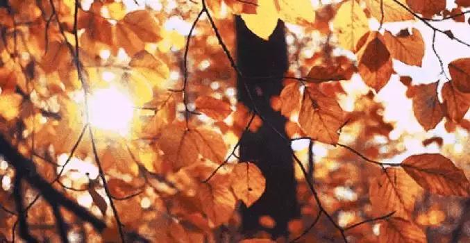 口红各式各样的,口红千千万mac最好看