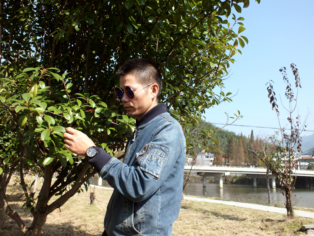 西铁城算是名表吗,西铁城光动能男表哪个型号好