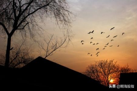 外汇交易员失败的现状,外汇交易员交易过程