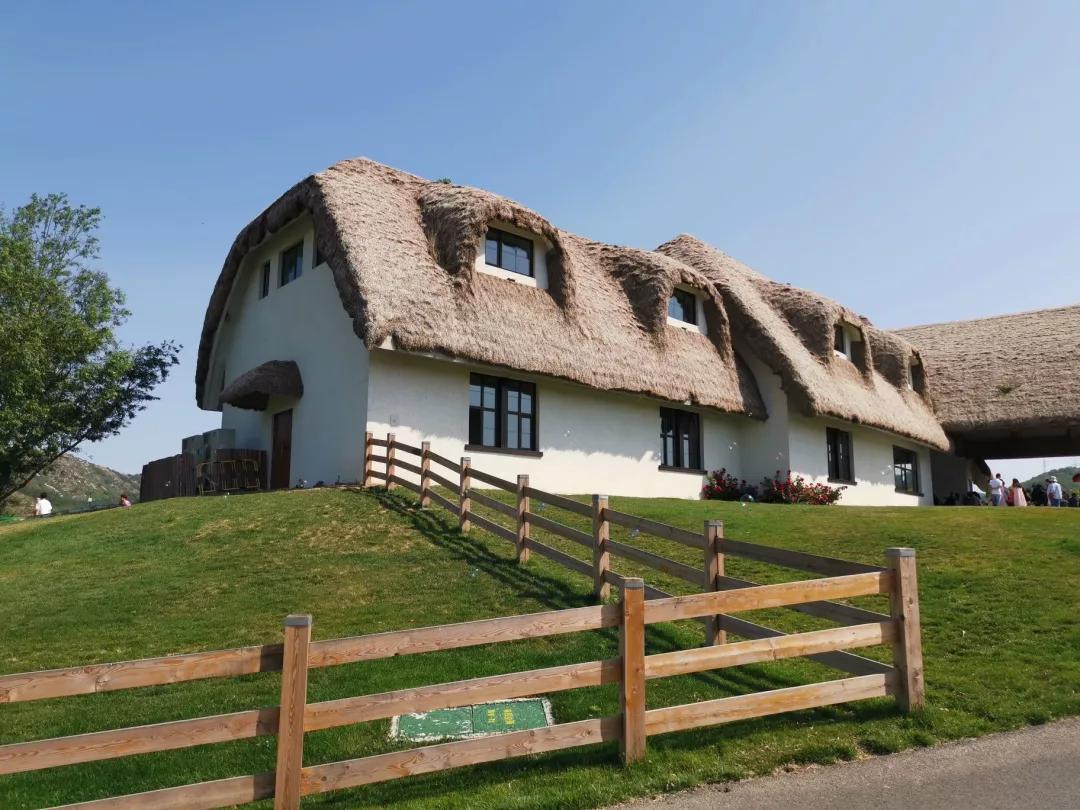 大连旅游攻略精致景点推荐,大连必去的打卡景点