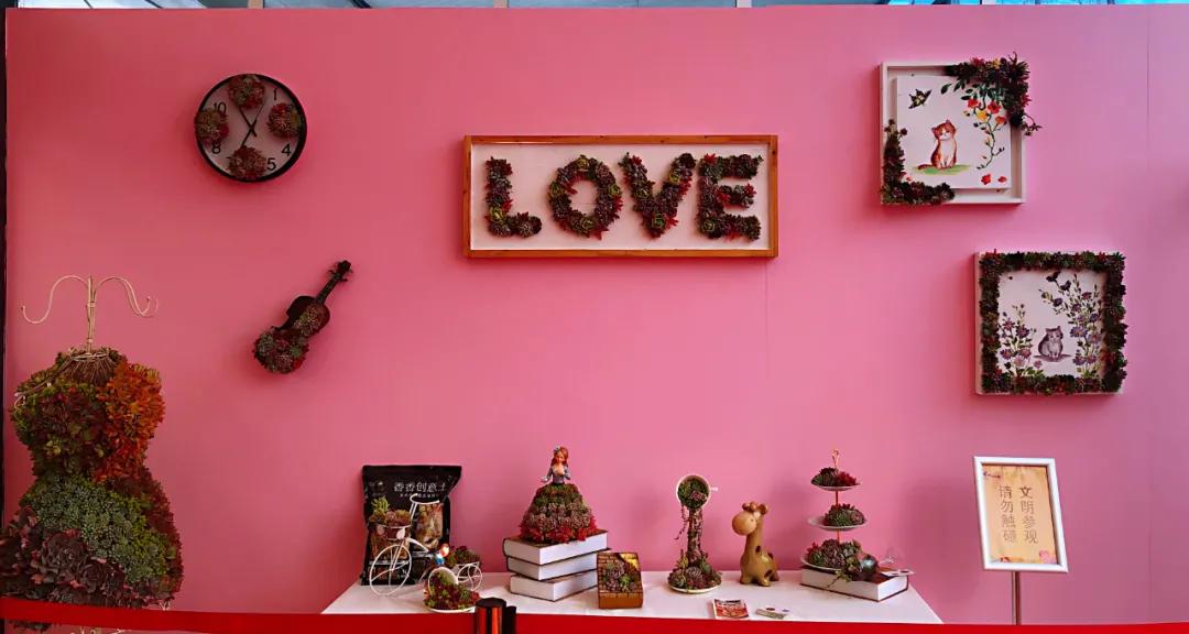 这个年销量上亿株多肉的县城，举办了首届多肉电商节