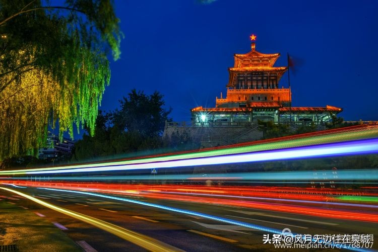 济南的法国梧桐,济南梧桐树美景