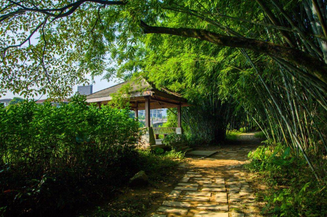 南昆山富力养生谷公寓两房,南昆山富力养生谷三房二厅民宿