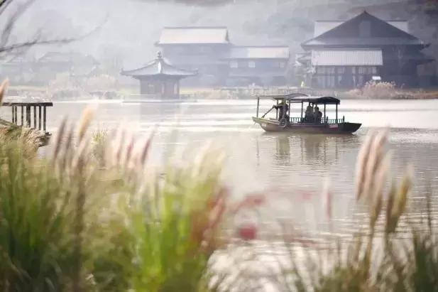 无锡拈花湾住宿禅意村舍,无锡拈花湾禅意植物