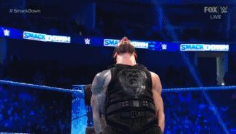 wwesd和raw所有选手,wwesd冠军腰带