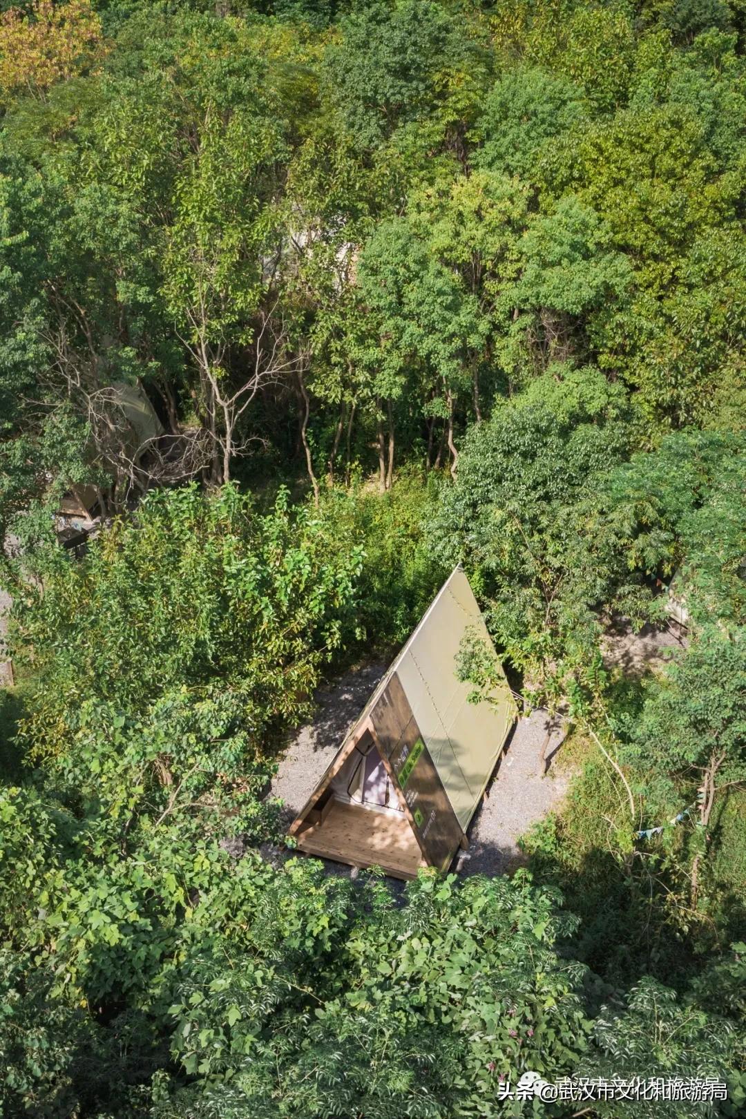 蔡甸区游玩,蔡甸在哪里