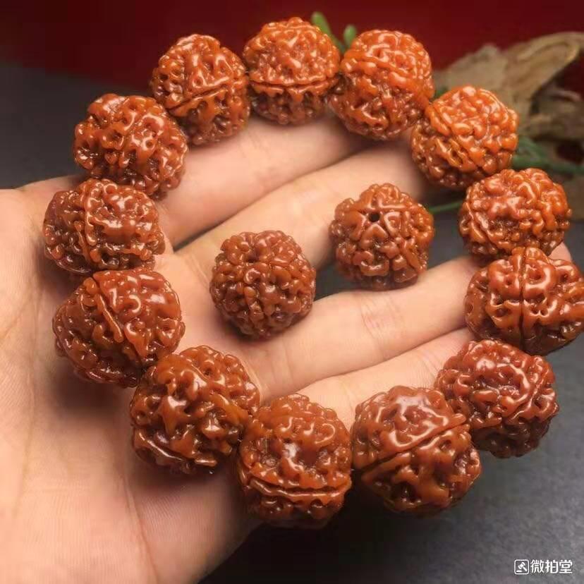 金刚菩提菠萝蜜牛津红,金刚菩提买原色的还是牛津红