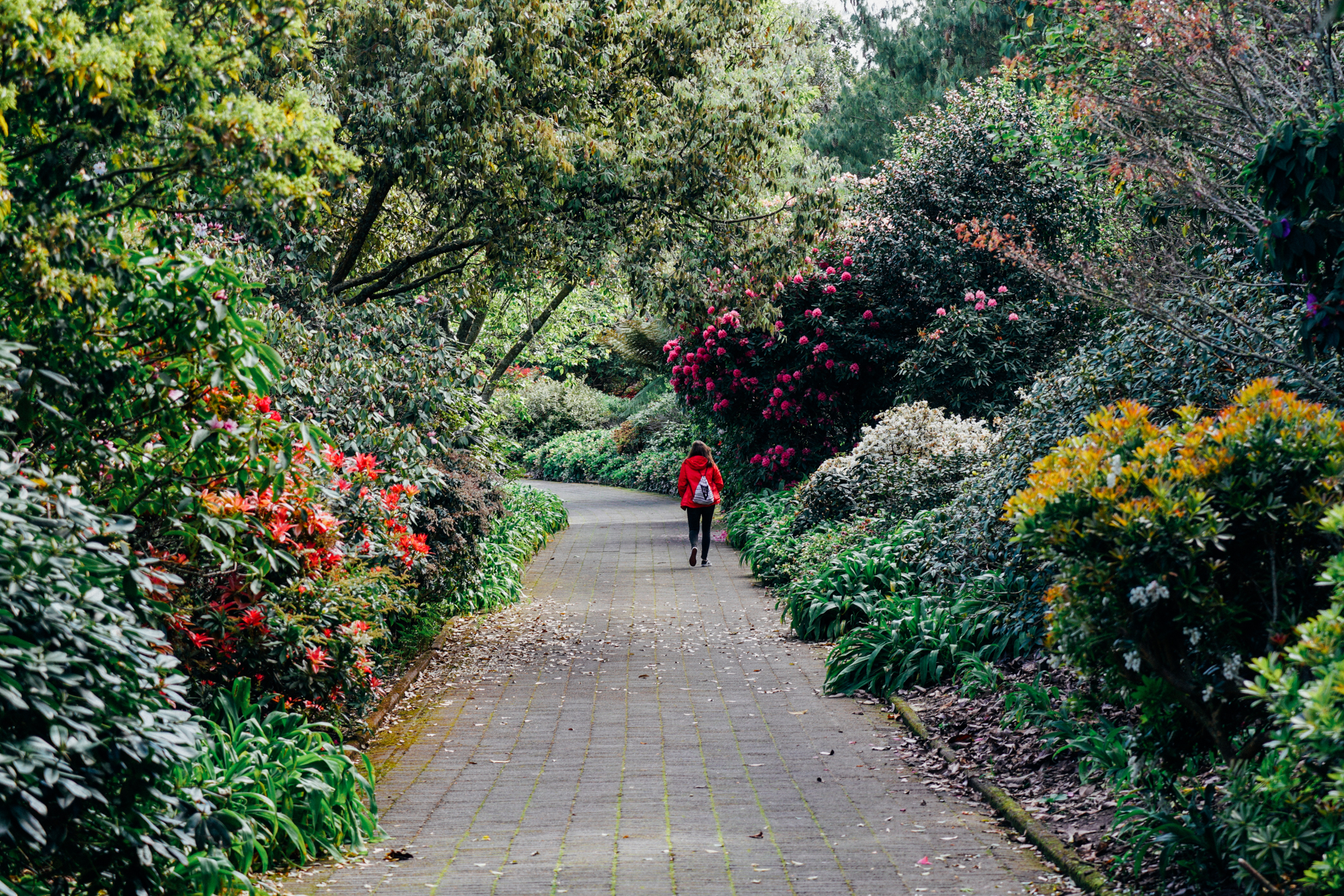 新西兰北岛值得去的地方,新西兰北岛哪里值得去