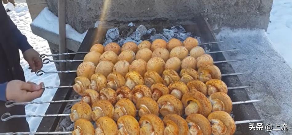 为啥俄罗斯大汉总是背着老婆钻树林？