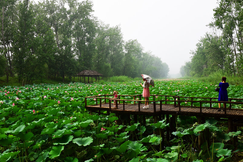 天选之子鲁班七号,山东泰山天选之人