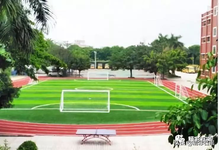 石碣四海学校口碑怎么样,东莞足球特色学校排名