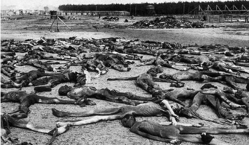 恐怖的纳粹*党**卫军和秘密警察