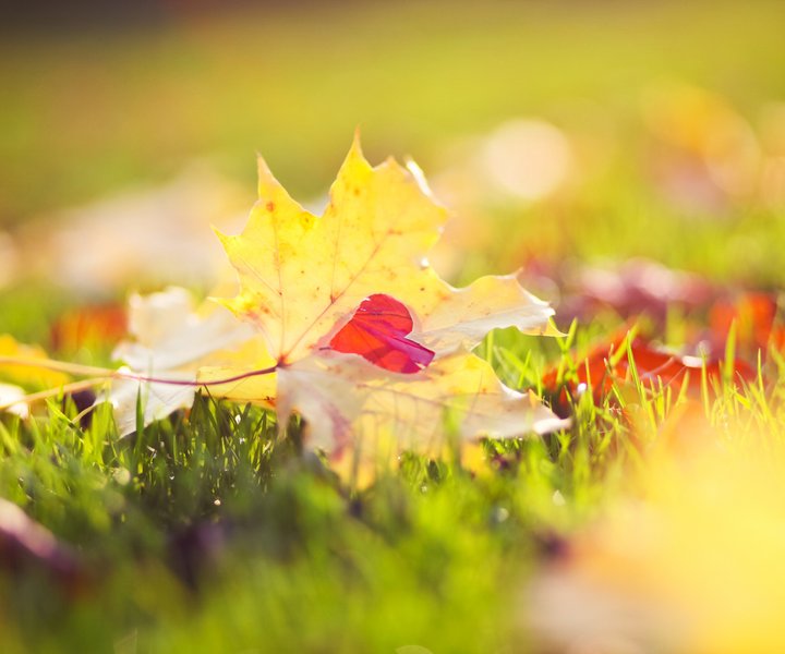 人穷还穷得理直气壮,果然穷能治愈一切矫情