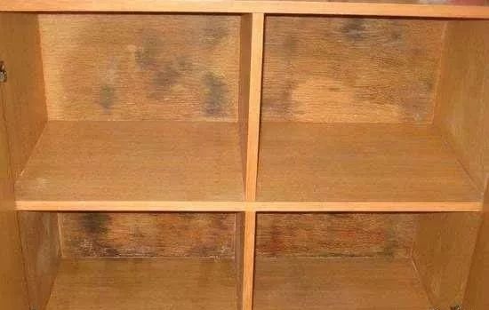 衣柜发霉了有没有毒,挨墙的衣柜潮湿发霉怎么处理