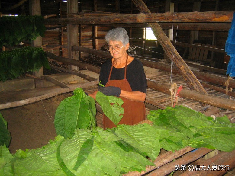 给我一支雪茄，我别无他求！探访世界顶级雪茄故乡，人人享受其中