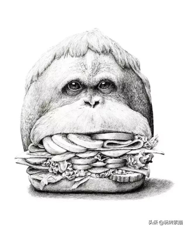 小清新素描黑白插画,看似抽象实则写实的画