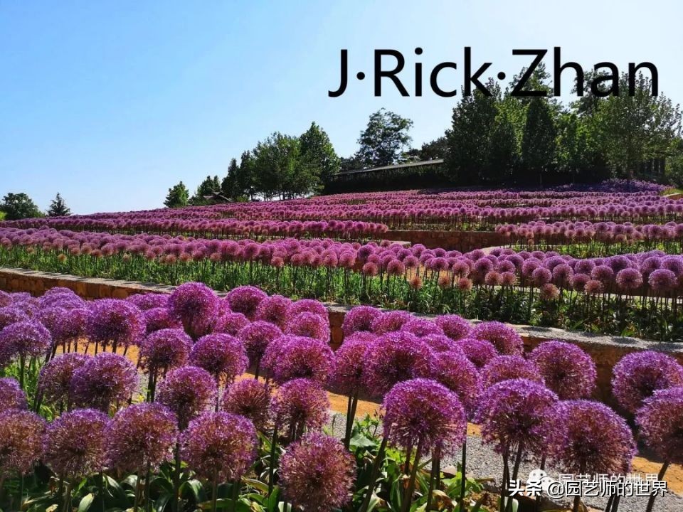 值得参观的国内优秀花园之品鉴（上篇）