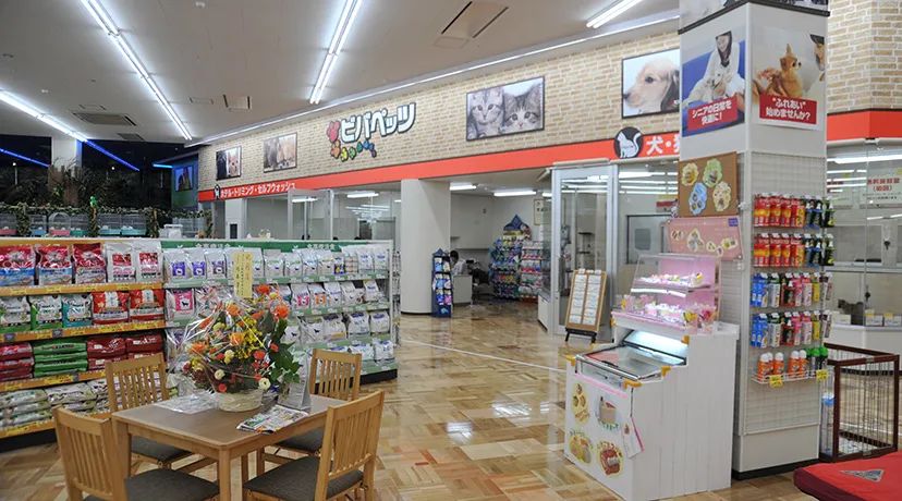 两个月内第二宗！骊住集团拟以37亿元出售子公司股权