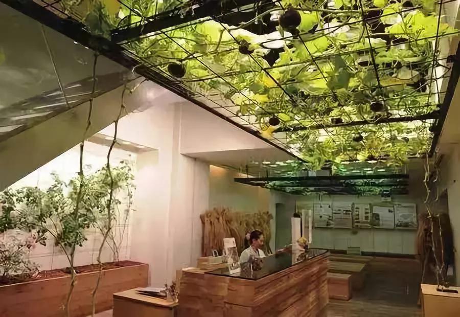 休闲农业模式怎么选好点,休闲农业的100种盈利模式