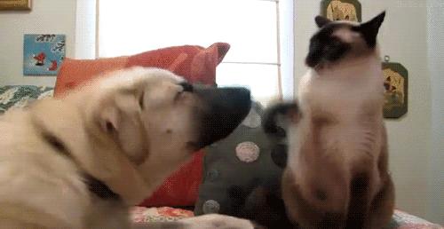 广告行业销售技巧营销思维,三分钟广告营销技巧